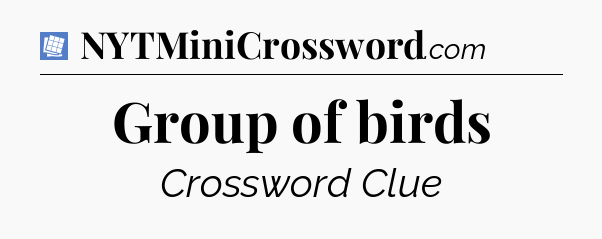Group of birds Puzzle Page Crossword Clue