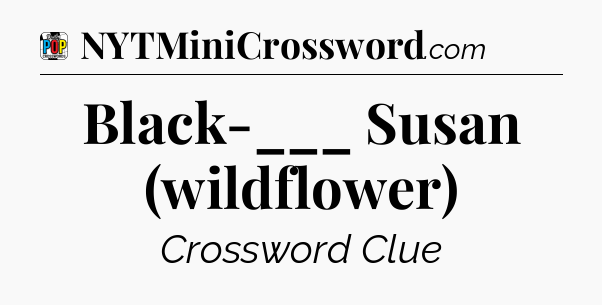Black-___ Susan (wildflower) Crossword Clue