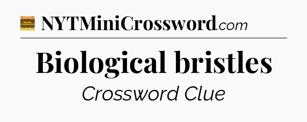 Biological bristles - Eugene Sheffer Crossword