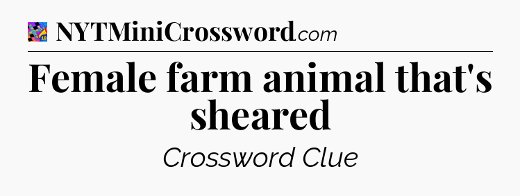 Female farm animal that's sheared Crossword Clue