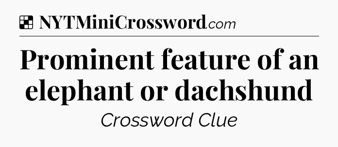 Solution: Prominent feature of an elephant or dachshund - NYT Crossword
