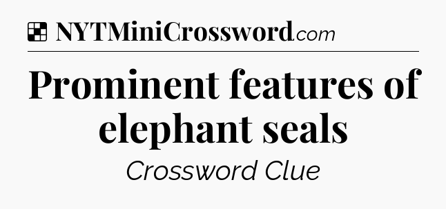 Solution: Prominent features of elephant seals - NYT Crossword