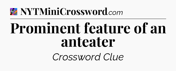 Prominent feature of an anteater Crossword Clue