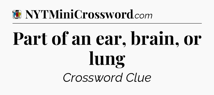 Part of an ear, brain, or lung Crossword Clue
