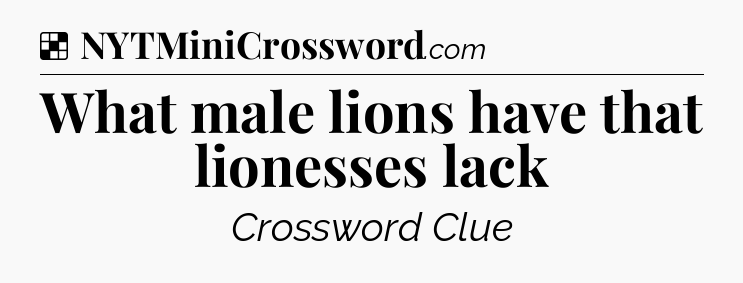 Solution: What male lions have that lionesses lack - NYT Crossword