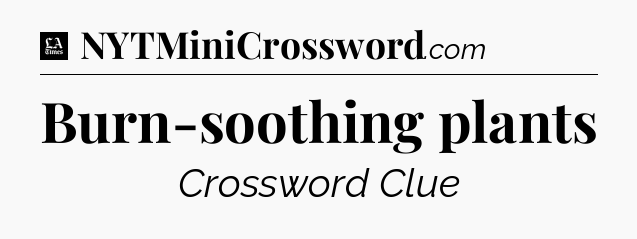 Burn-soothing plants - LA Times Crossword