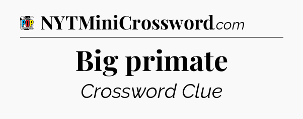 Big primate Crossword Clue