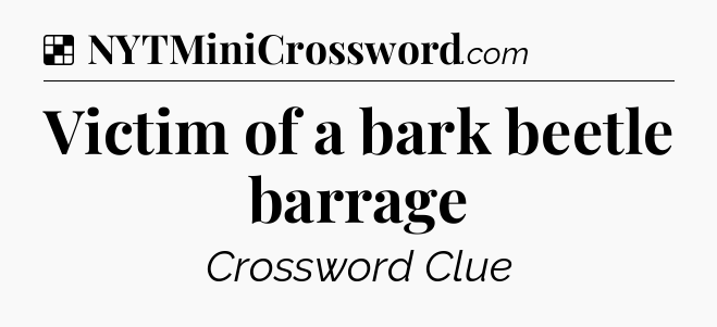 Solution: Victim of a bark beetle barrage - NYT Crossword