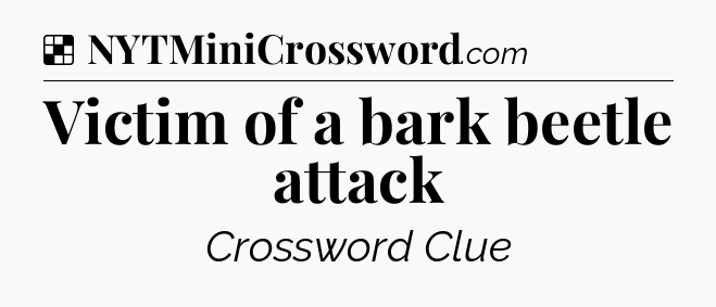 Solution: Victim of a bark beetle attack - NYT Crossword