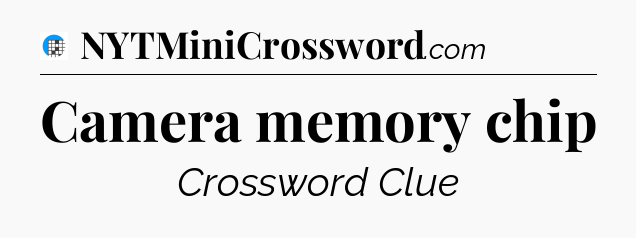 Camera memory chip Crossword Clue