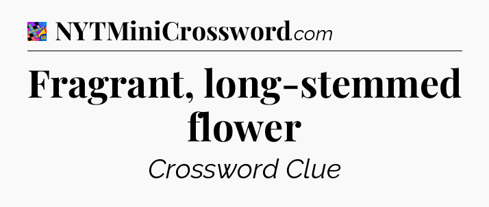 Fragrant, long-stemmed flower Crossword Clue