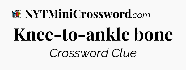 Knee-to-ankle bone Crossword Clue