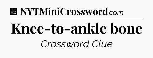Knee-to-ankle bone - LA Times Crossword