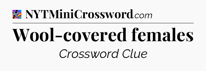 Wool-covered females Crossword Clue