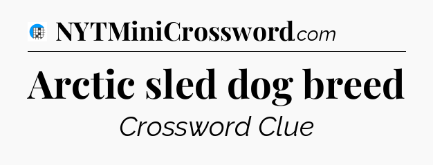 Arctic sled dog breed Crossword Clue