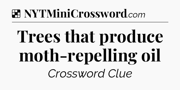 Solution: Trees that produce moth-repelling oil - NYT Crossword