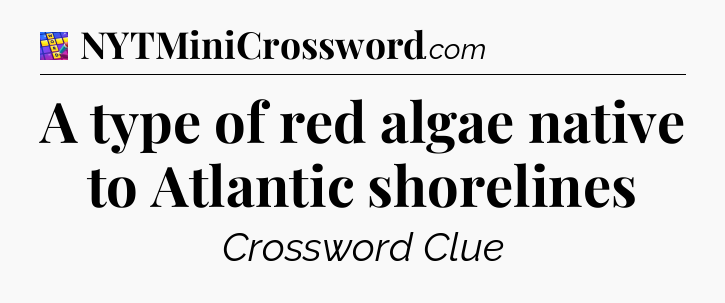 A type of red algae native to Atlantic shorelines Codycross