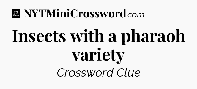 Insects with a pharaoh variety - LA Times Crossword