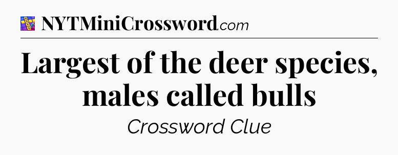 Largest of the deer species, males called bulls Codycross