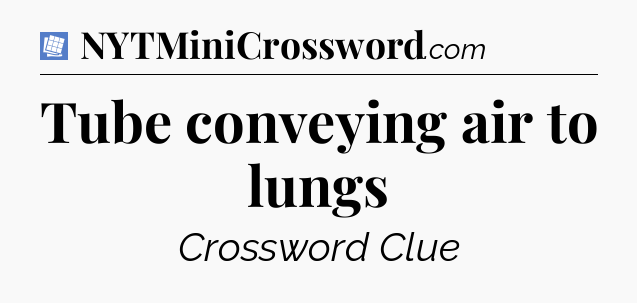 Tube conveying air to lungs Puzzle Page Crossword Clue