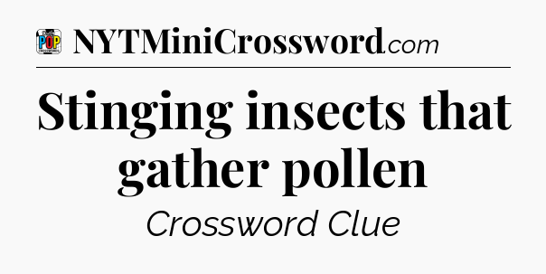 Stinging insects that gather pollen Crossword Clue