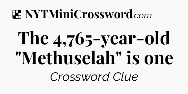 The 4,765-year-old 
