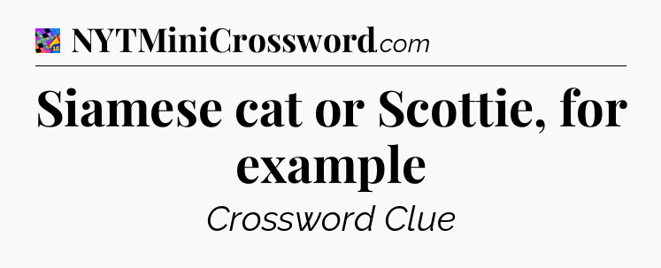 Siamese cat or Scottie, for example Crossword Clue