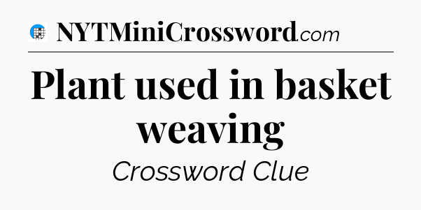 Plant used in basket weaving Crossword Clue