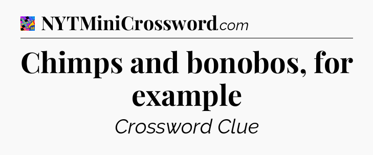 Chimps and bonobos, for example Crossword Clue