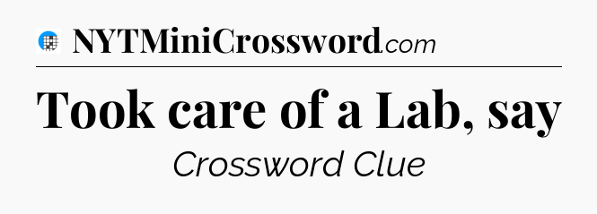 Took care of a Lab, say Crossword Clue