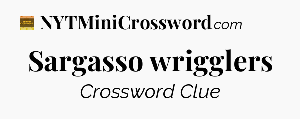 Sargasso wrigglers - Eugene Sheffer Crossword