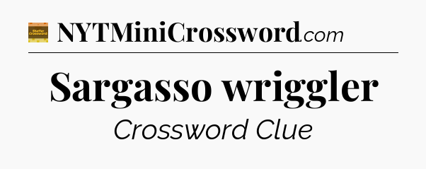 Sargasso wriggler - Eugene Sheffer Crossword