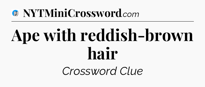Ape with reddish-brown hair Crossword Clue