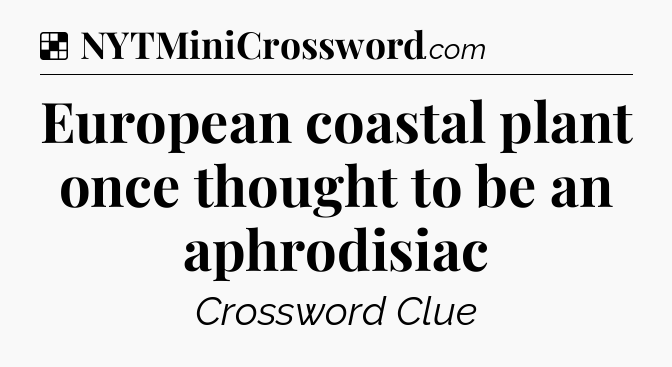 Solution: European coastal plant once thought to be an aphrodisiac - NYT Crossword