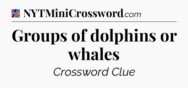 Groups of dolphins or whales Crossword Clue