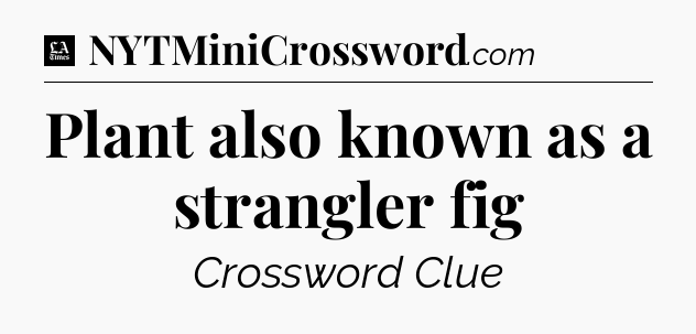 Plant also known as a strangler fig - LA Times Crossword