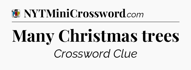 Many Christmas trees Crossword Clue