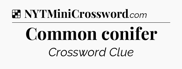 Solution: Common conifer - NYT Crossword