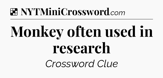 Solution: Monkey often used in research - NYT Crossword