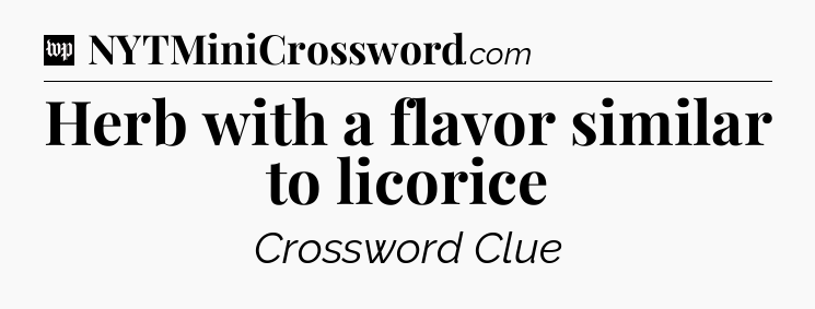 Herb with a flavor similar to licorice Crossword Clue