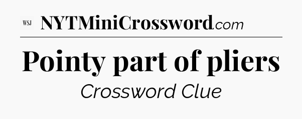 Pointy part of pliers - WSJ Crossword
