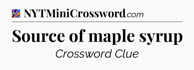Source of maple syrup Crossword Clue