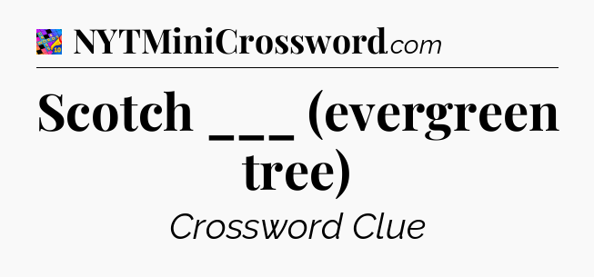 Scotch ___ (evergreen tree) Crossword Clue