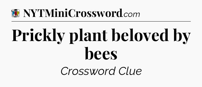 Prickly plant beloved by bees Crossword Clue