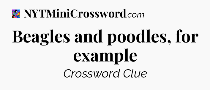 Beagles and poodles, for example Crossword Clue