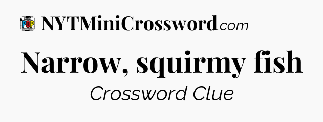 Narrow, squirmy fish Crossword Clue