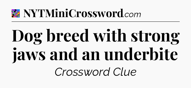 Dog breed with strong jaws and an underbite Crossword Clue