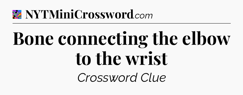 Bone connecting the elbow to the wrist Crossword Clue