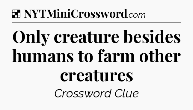 Solution: Only creature besides humans to farm other creatures - NYT Crossword