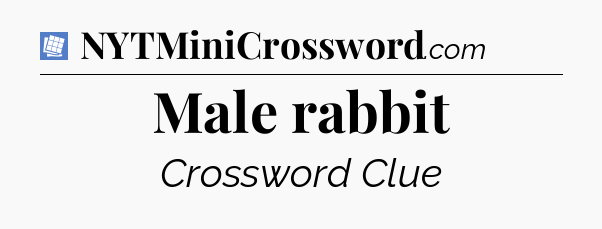 Male rabbit Puzzle Page Crossword Clue